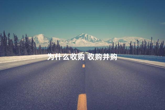 为什么收购 收购并购